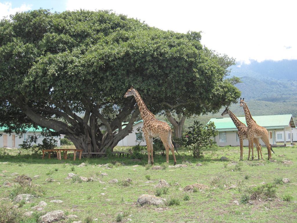 Nature Homes - Africa Amini Life Nkoanrua ภายนอก รูปภาพ