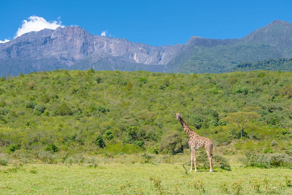 Nature Homes - Africa Amini Life Nkoanrua ภายนอก รูปภาพ