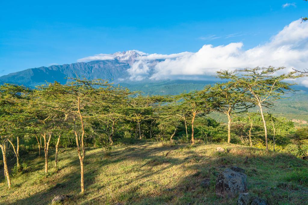 Nature Homes - Africa Amini Life Nkoanrua ภายนอก รูปภาพ